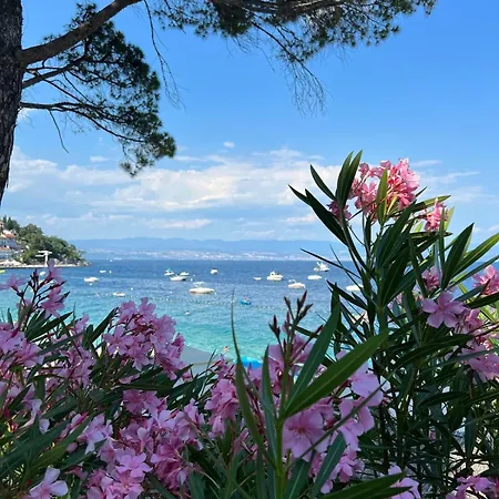 Aurora * Opatija